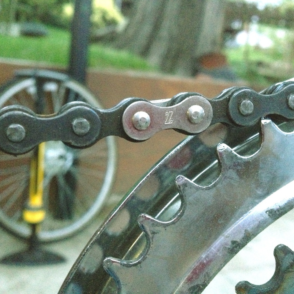 Meet your Posher, Maggie